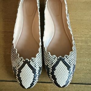 Chloe LAUREN BALLERINA Flat - Grey Python - Size 36/US 6